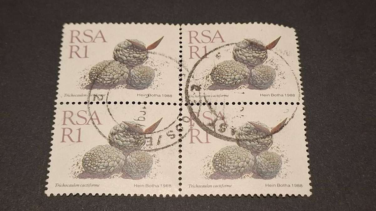 1988 - South Africa - Block -  R1 - Succulents.