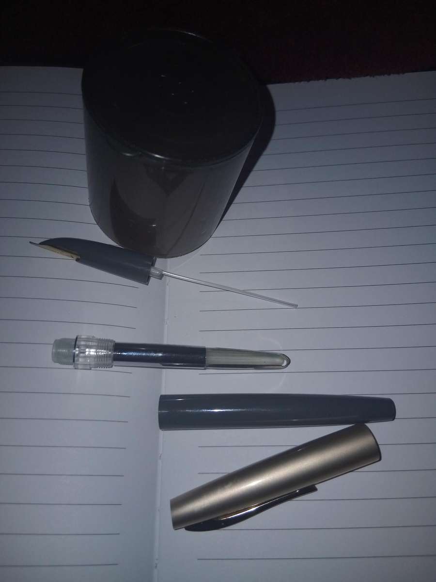 Fountain Pen. HIFRA vintage.