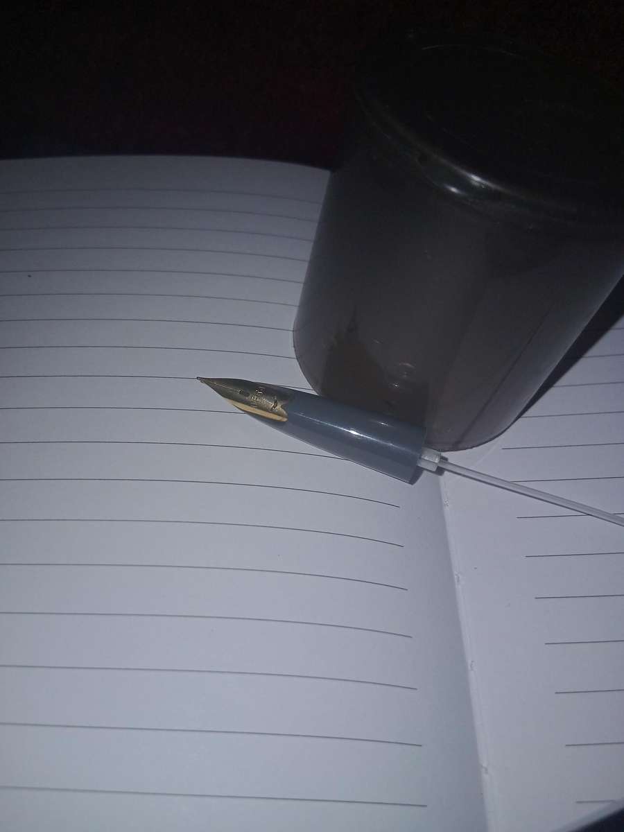 Fountain Pen. HIFRA vintage.