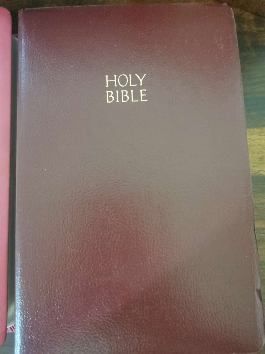 Selection of Beautiful Bibles