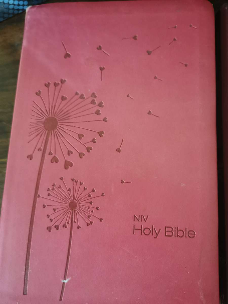 Selection of Beautiful Bibles