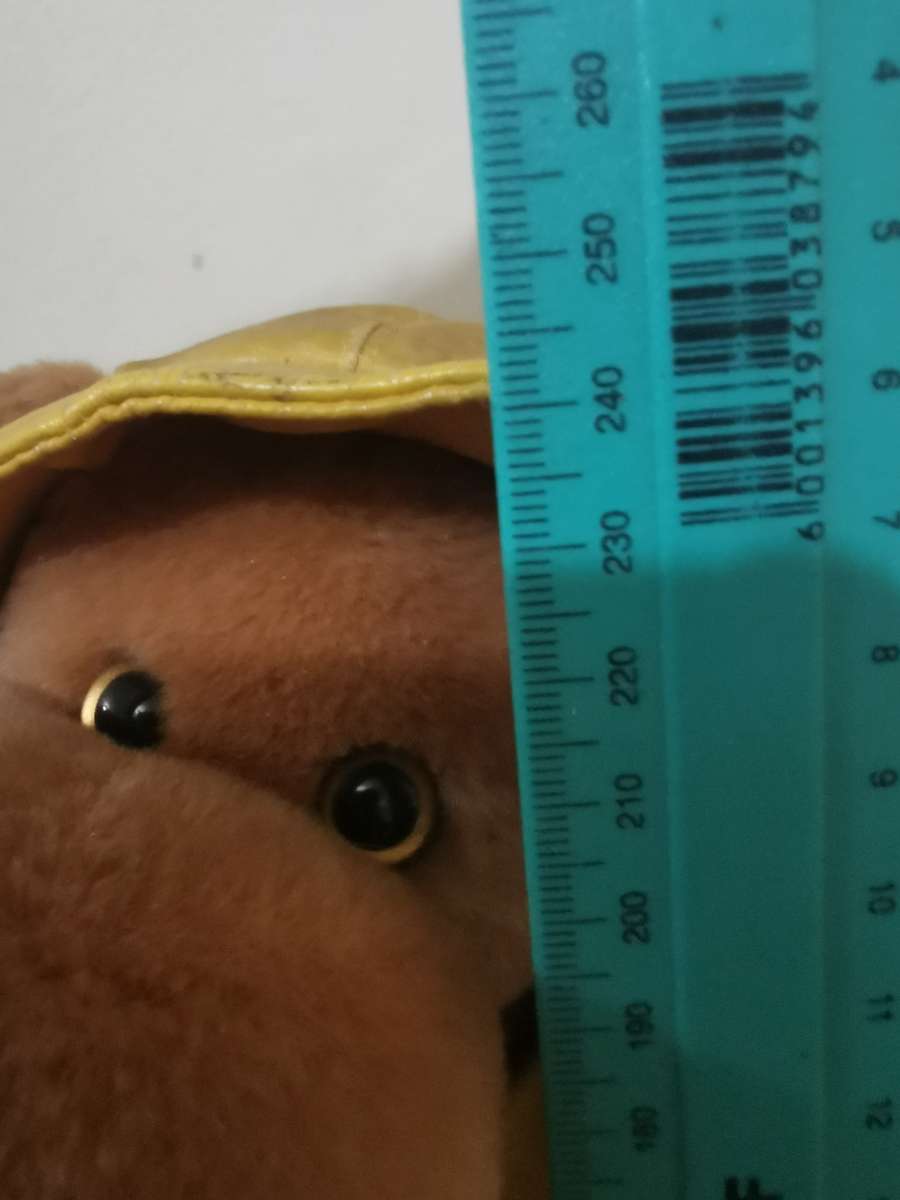 Vintage Singing in the Rain Soft Toy - Working!