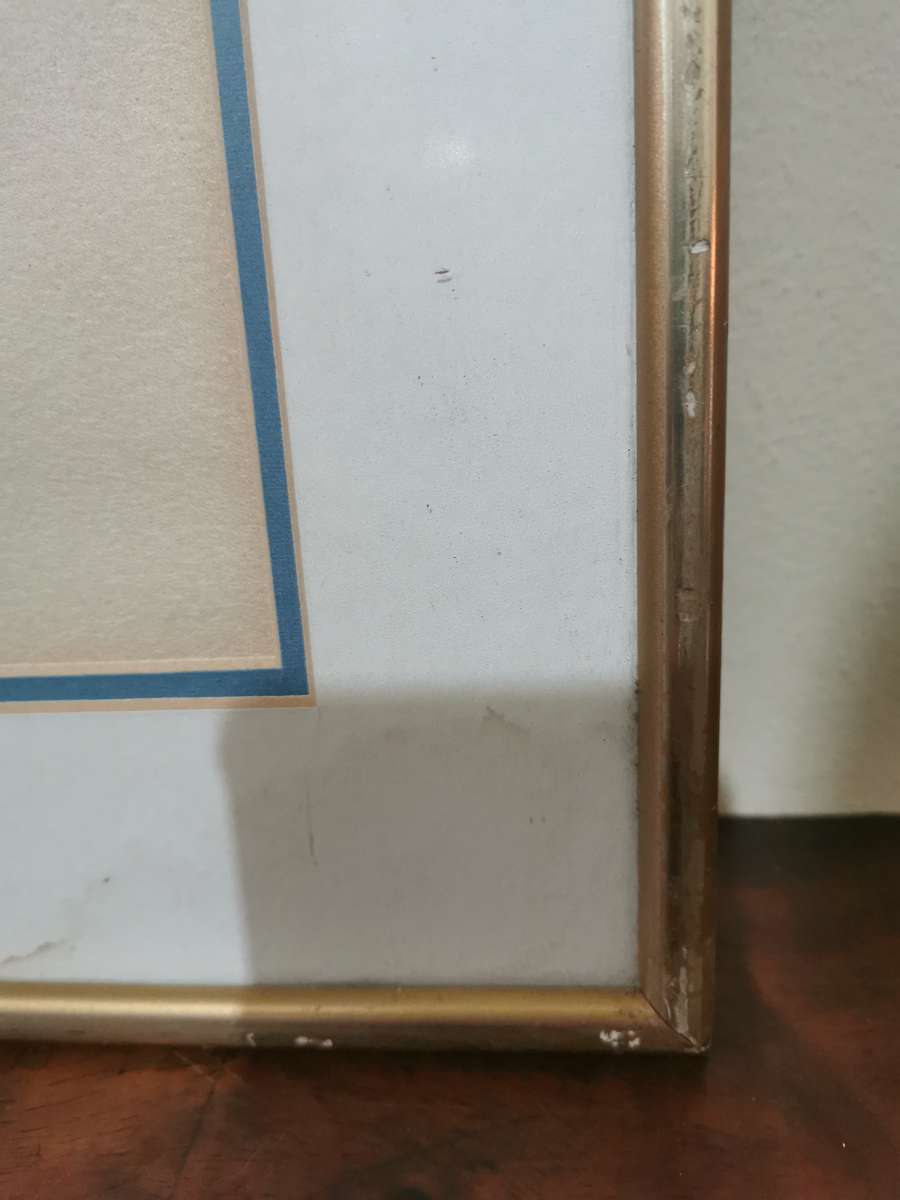 Malay Quarter Cape town Portrait Print (49cmx40cm)