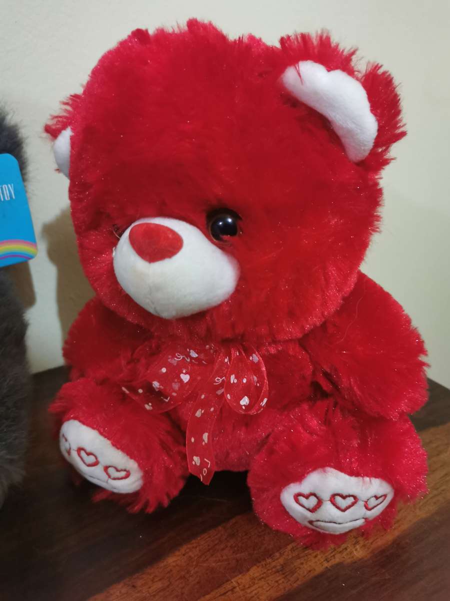 Selection of Adorable Soft Toys