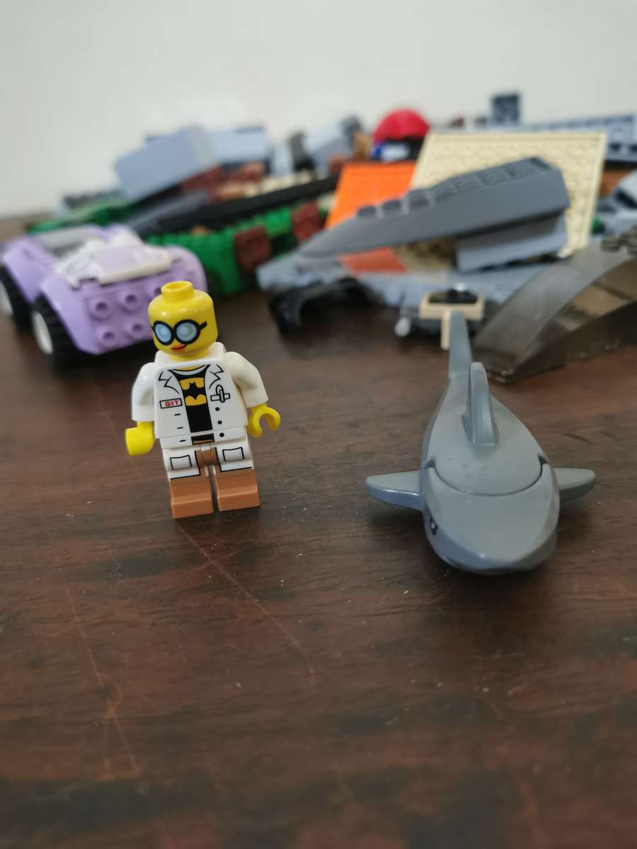 Genuine LEGO Collection