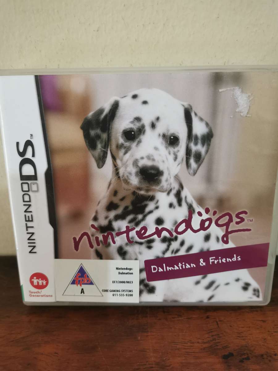 Nintendo DS Game Combo