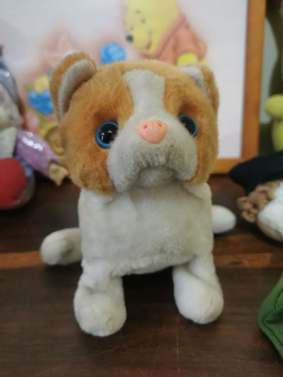 Toys and Decorations Lot