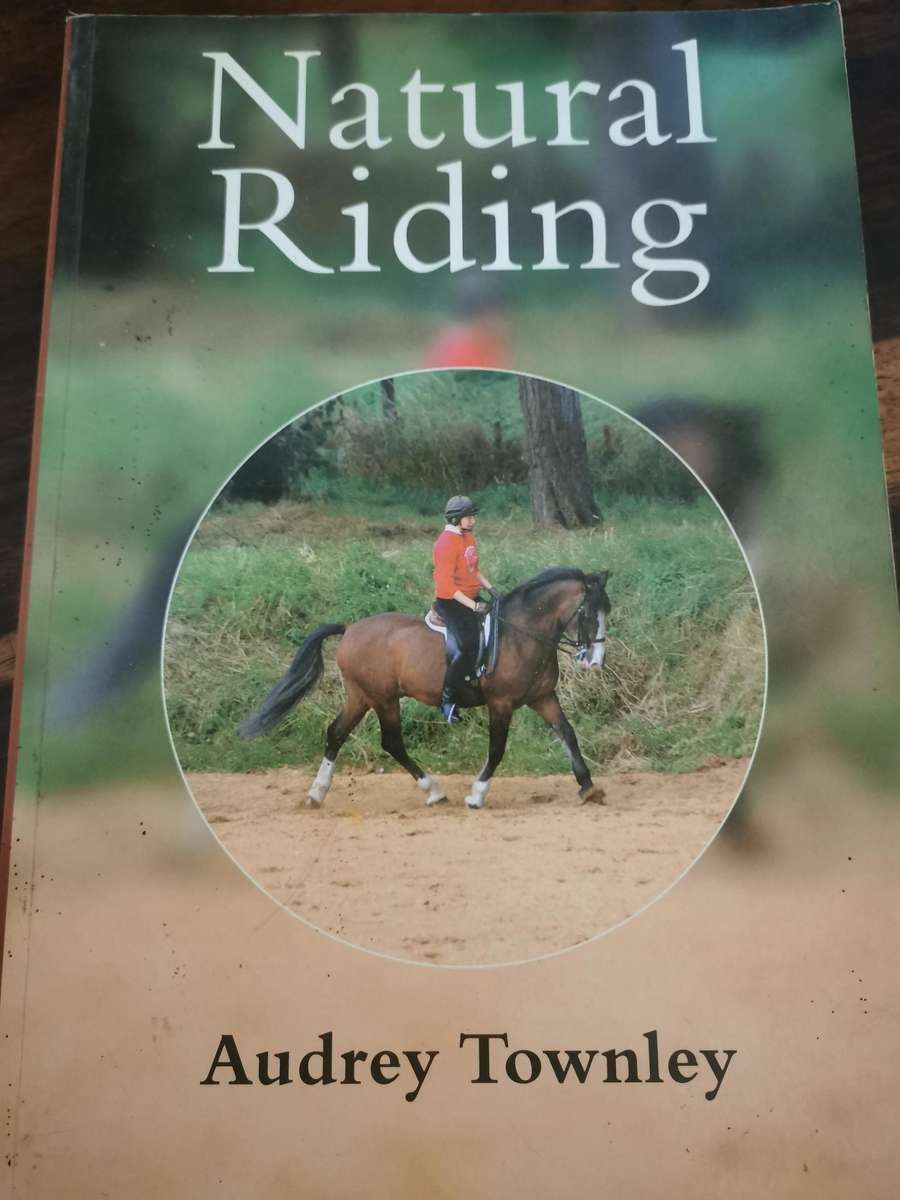 Horse Riding Book Selection