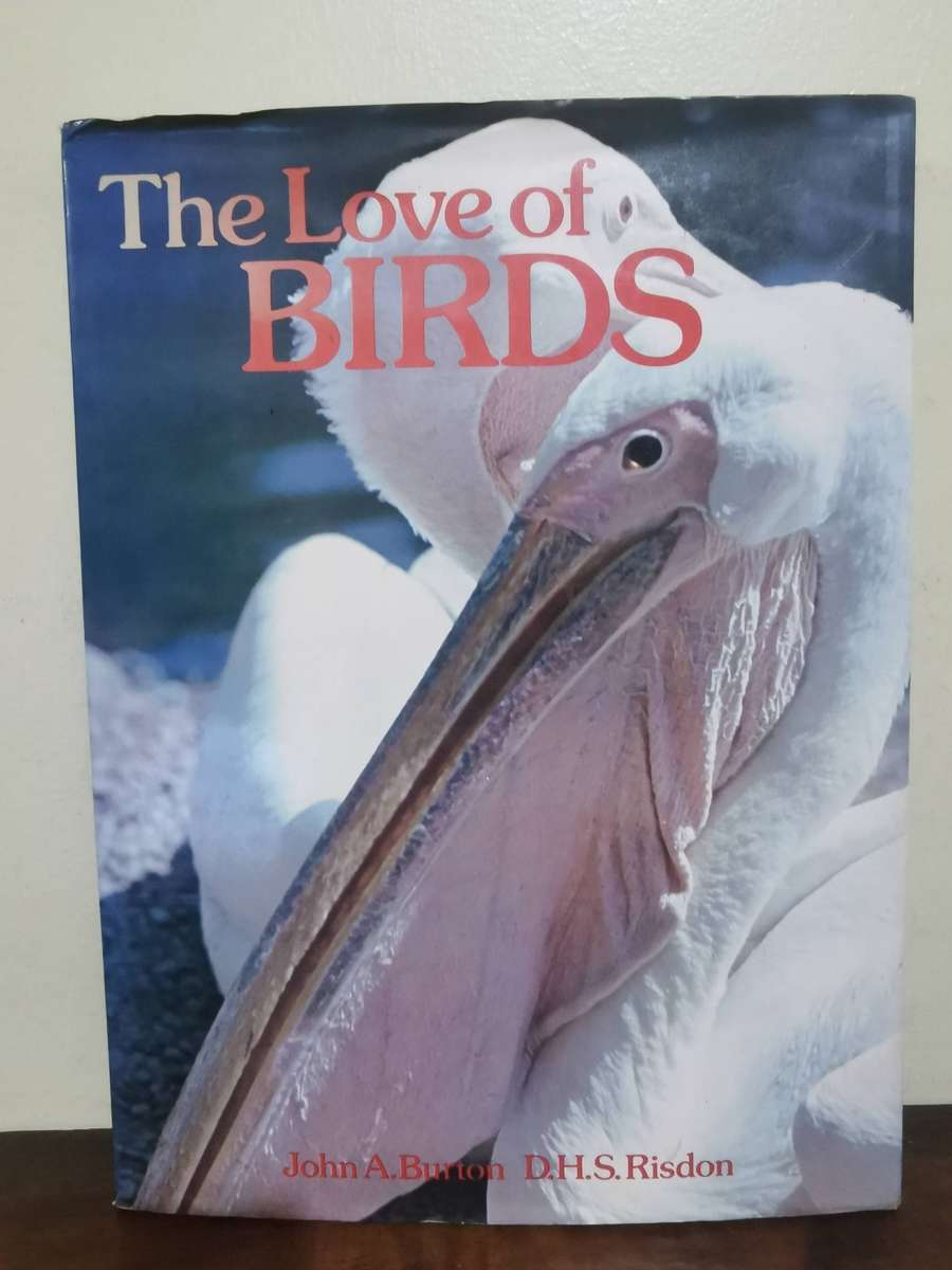 The Love of Birds - Large Hardcover