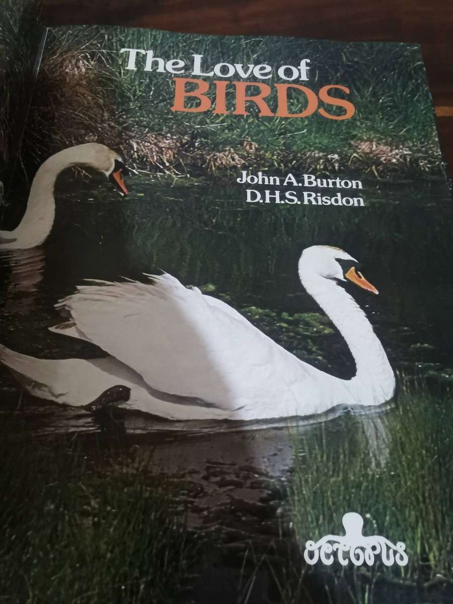 The Love of Birds - Large Hardcover