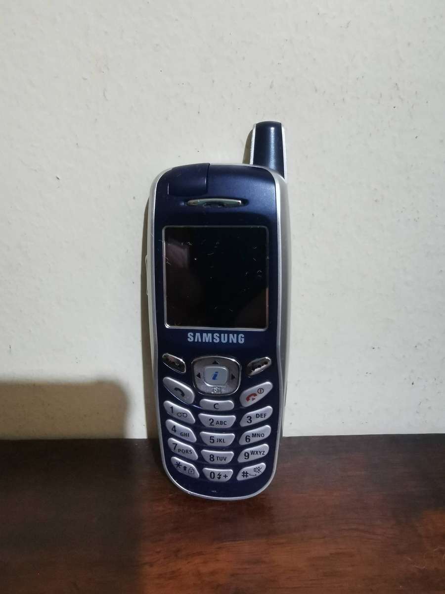 Samsung SGH-X600 Cell Phone with Original Box and Charger