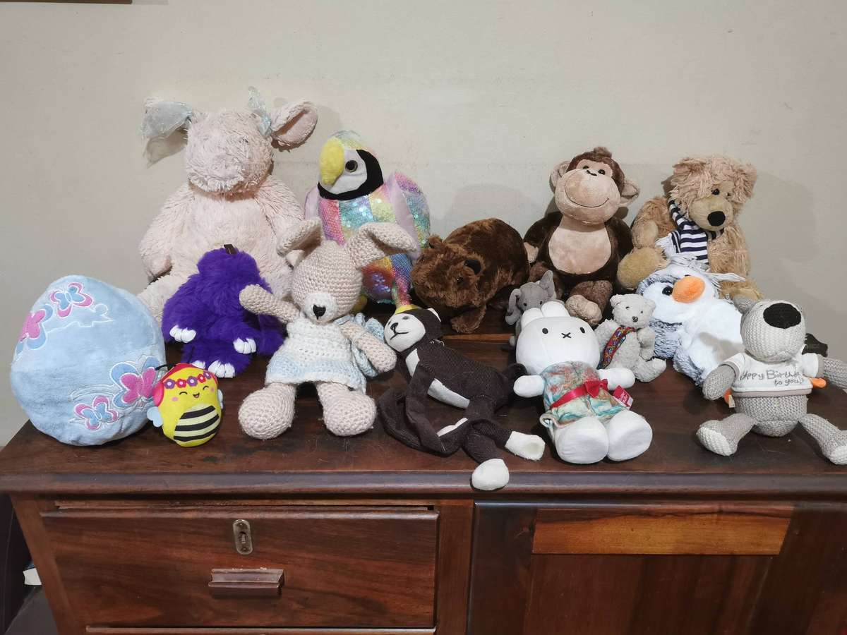 Incredible Collection of Lovely Soft Toys