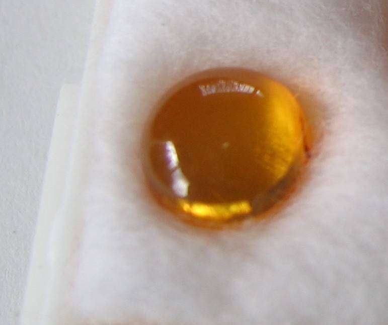 Round cut Cabochon  Amber 5.00mm- 2 pieces