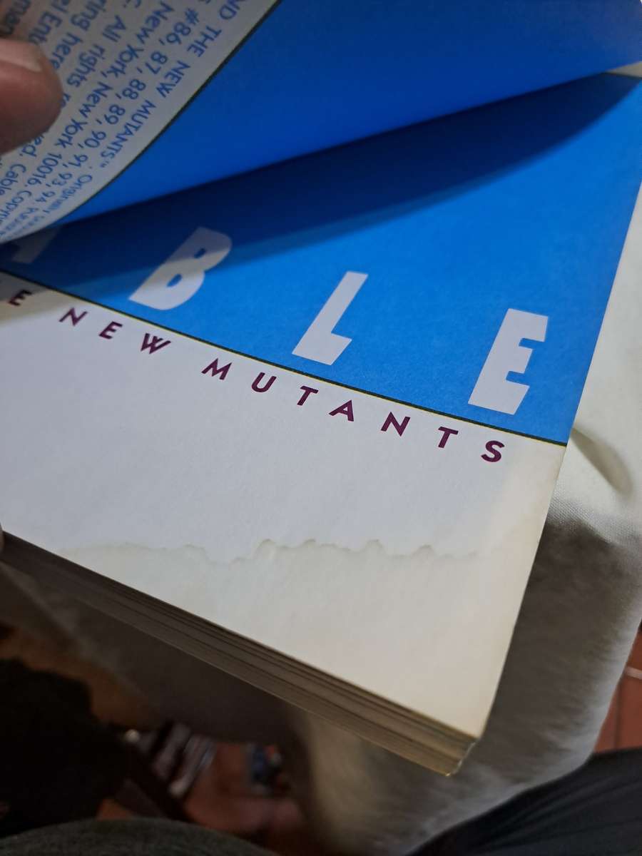 Cable and The New Mutants [ISBN 0871359375] (Marvel)