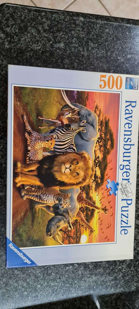 6 Puzzles in great condition