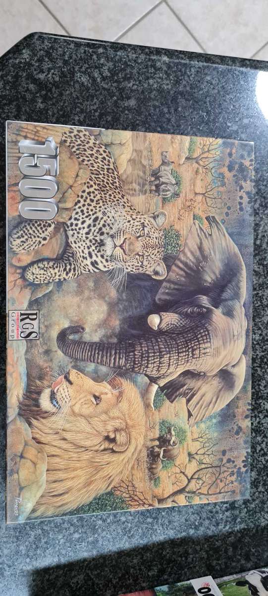 6 Puzzles in great condition