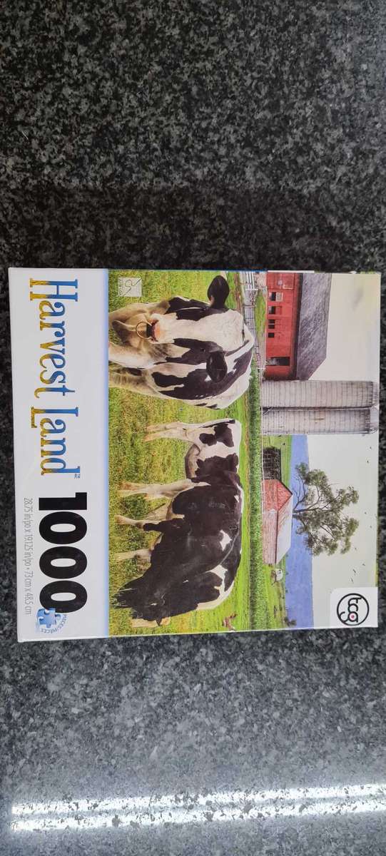 6 Puzzles in great condition