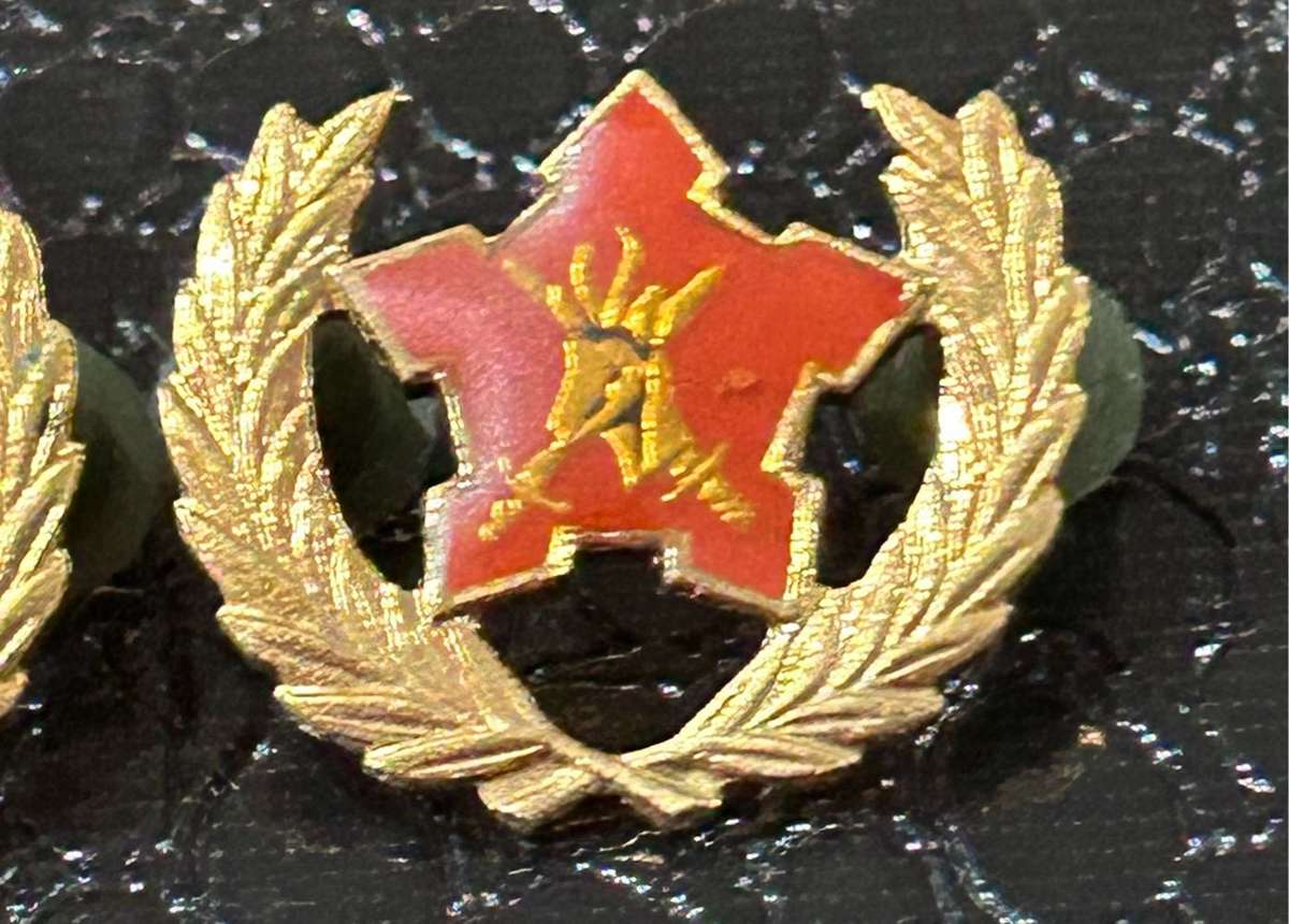 SA Army 2 x Volunteers 5 Years Award Badge