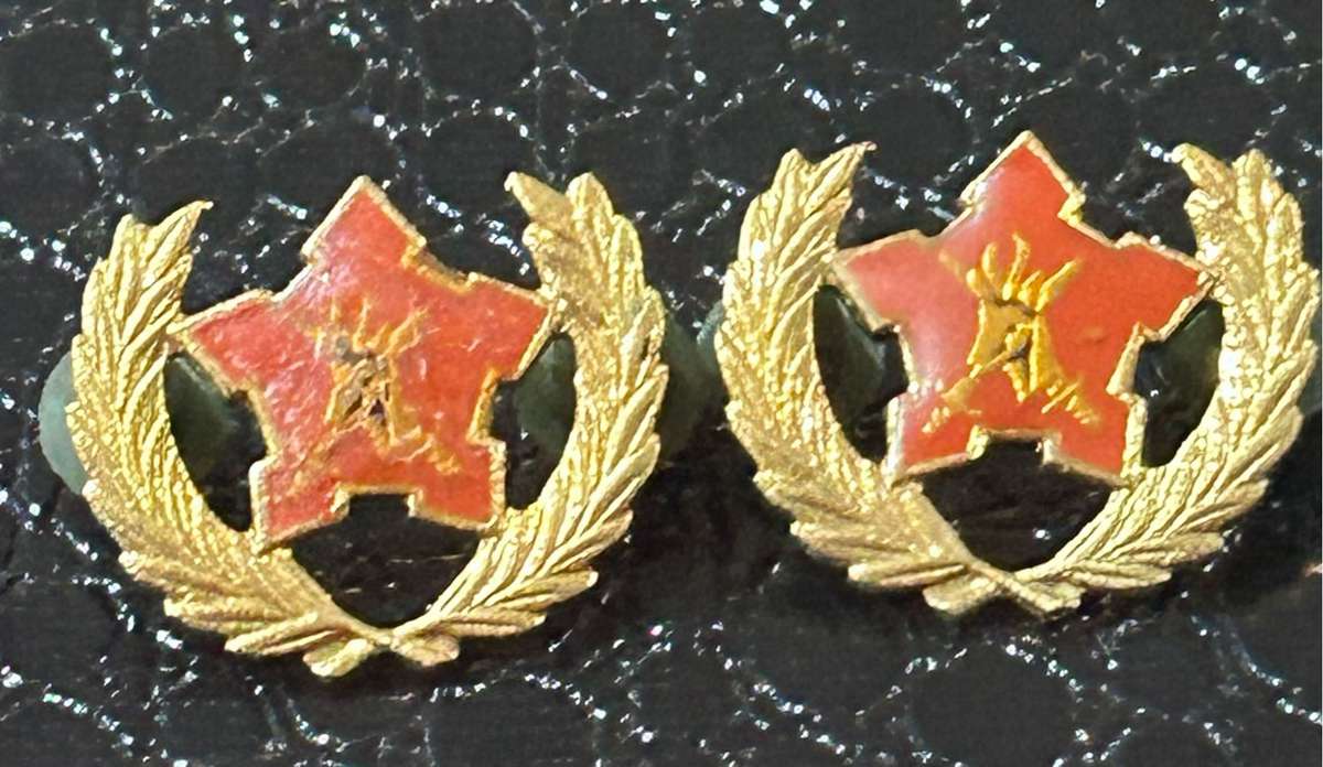 SA Army 2 x Volunteers 5 Years Award Badge