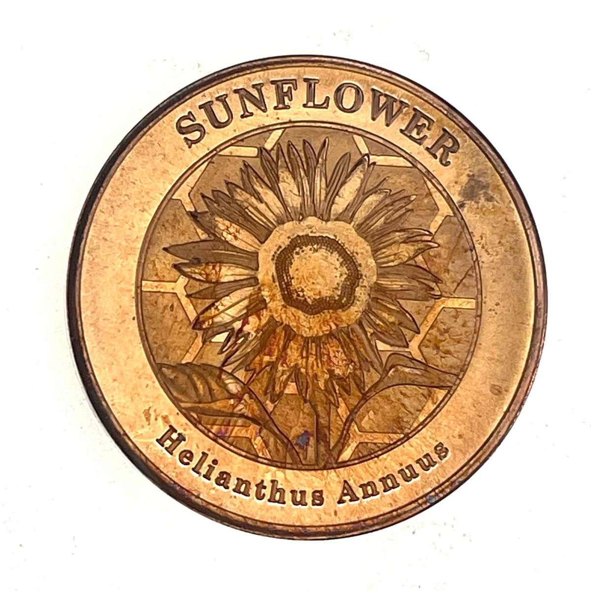 2026 South African 1oz Fine Copper Honey Bee