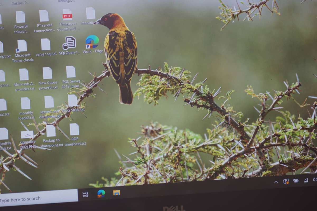 4K Touchscreen Dell Precision 5520 Core i7 7820HQ, 32GB RAM, 512GB NVMe, 4GB NVidia Quadro M1200.