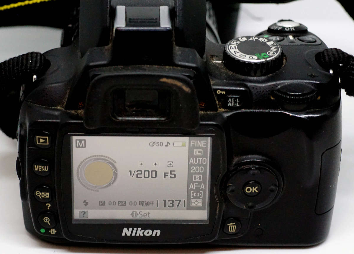 Nikon D60 CCD DSLR with Nikon 18-55 Zzoom Lens
