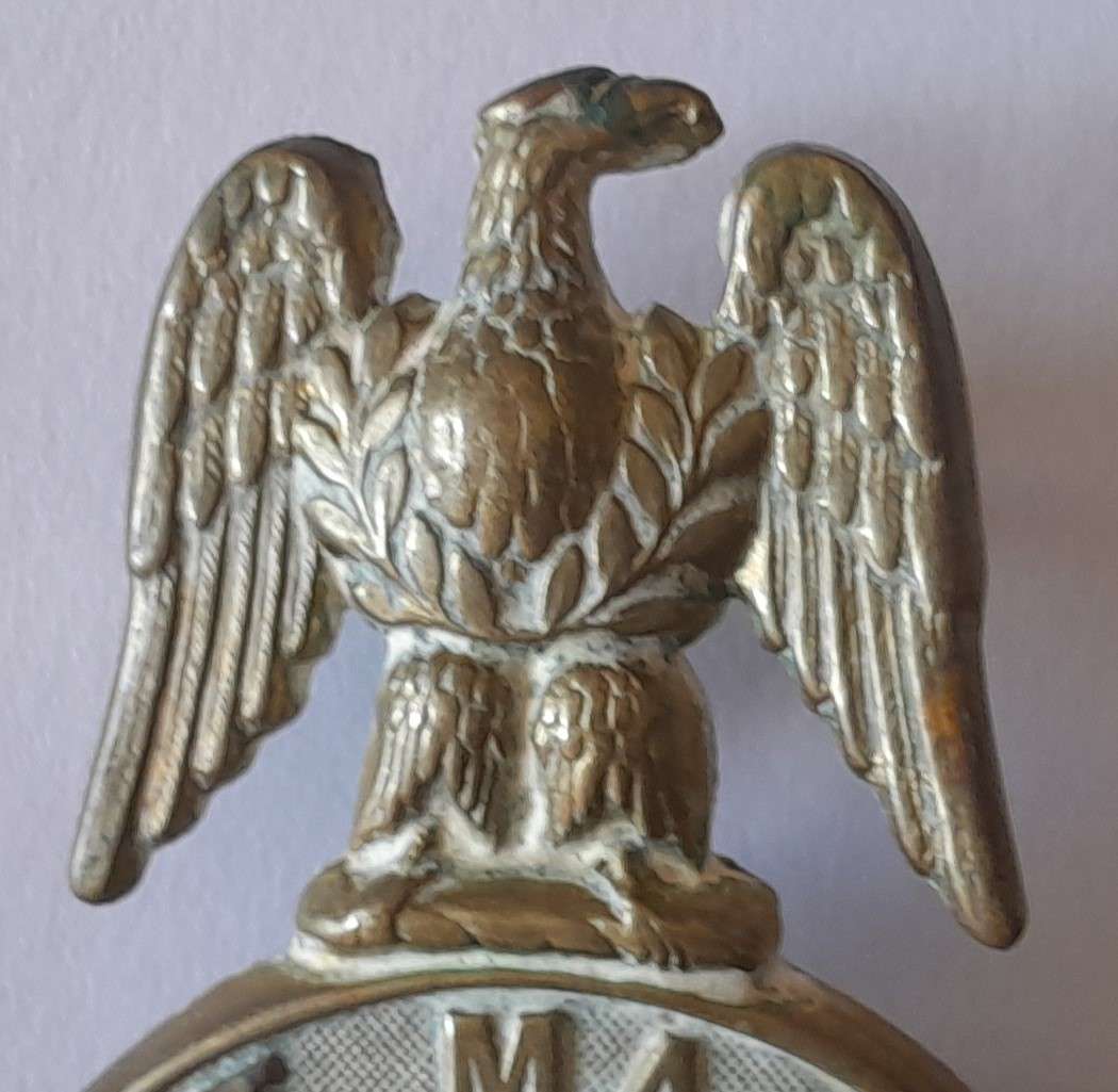 Boer War ZARP (Zuid-Afrikaansche Republiek Politie) Martingale Badge. 9 x 5cm.