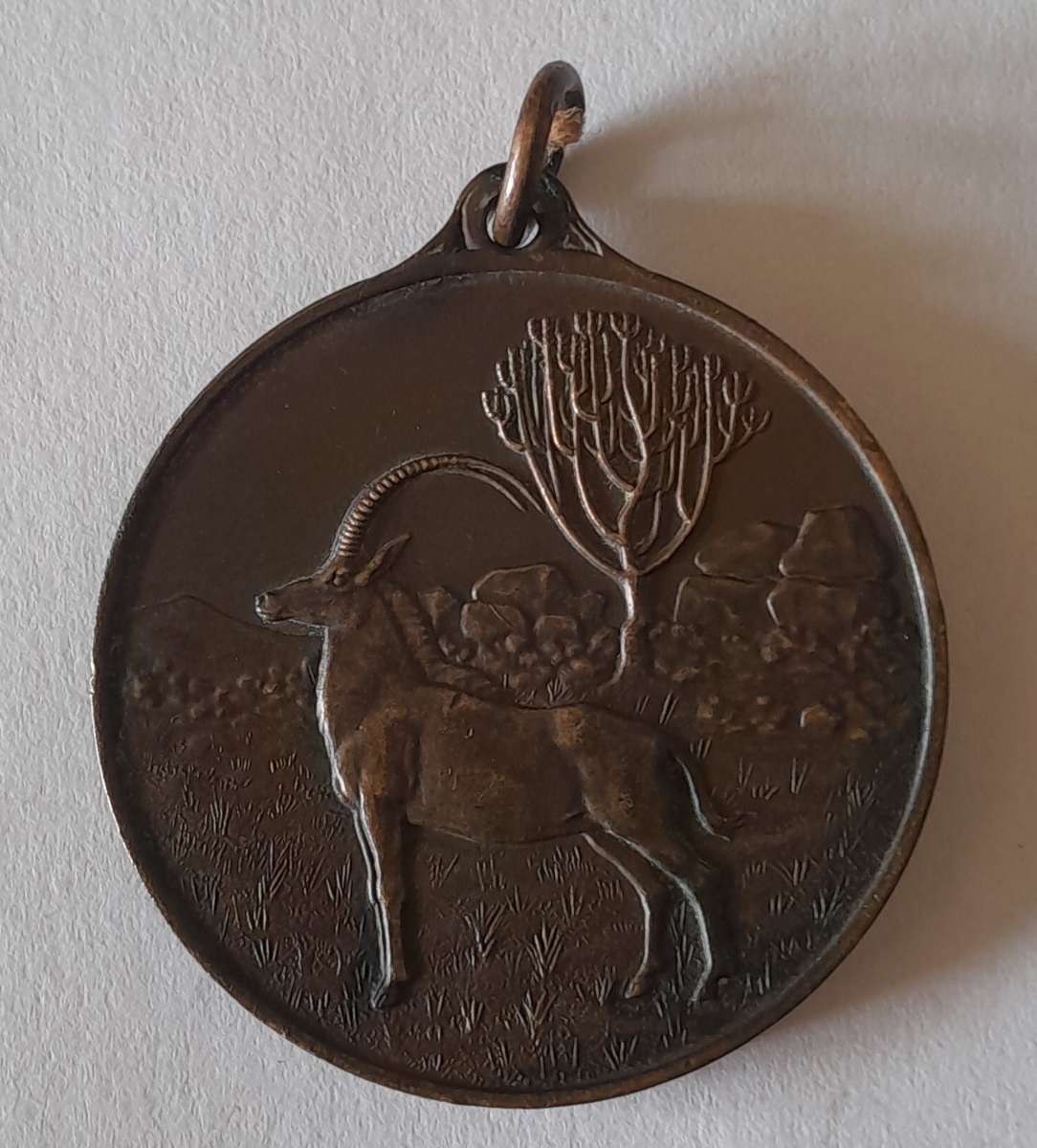 1933 Rhodesian 40th Anniversary of Occupation of Matabeleland Bronze Medal.