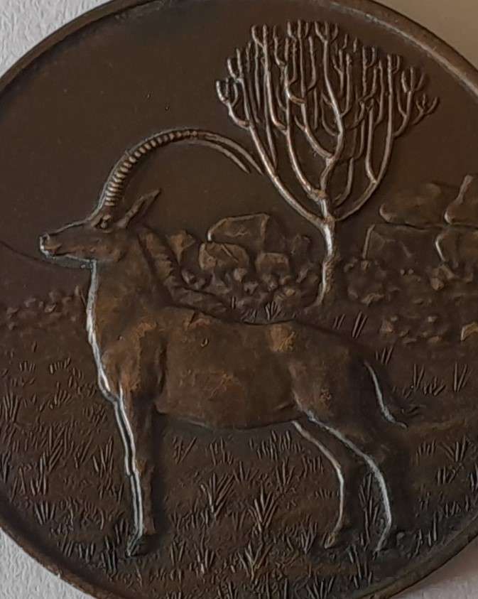 1933 Rhodesian 40th Anniversary of Occupation of Matabeleland Bronze Medal.