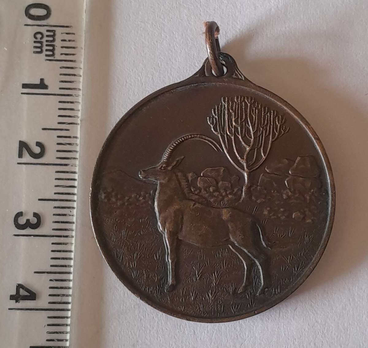 1933 Rhodesian 40th Anniversary of Occupation of Matabeleland Bronze Medal.