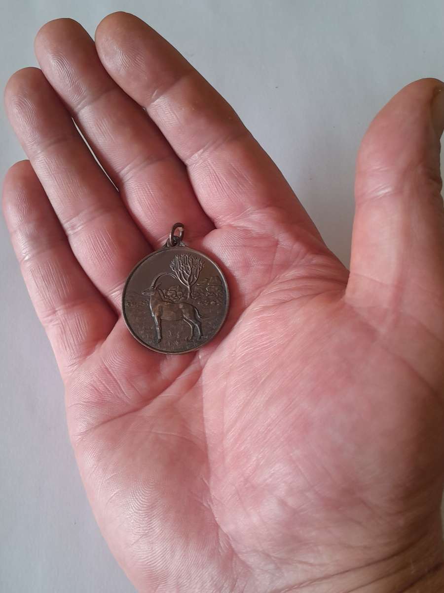 1933 Rhodesian 40th Anniversary of Occupation of Matabeleland Bronze Medal.