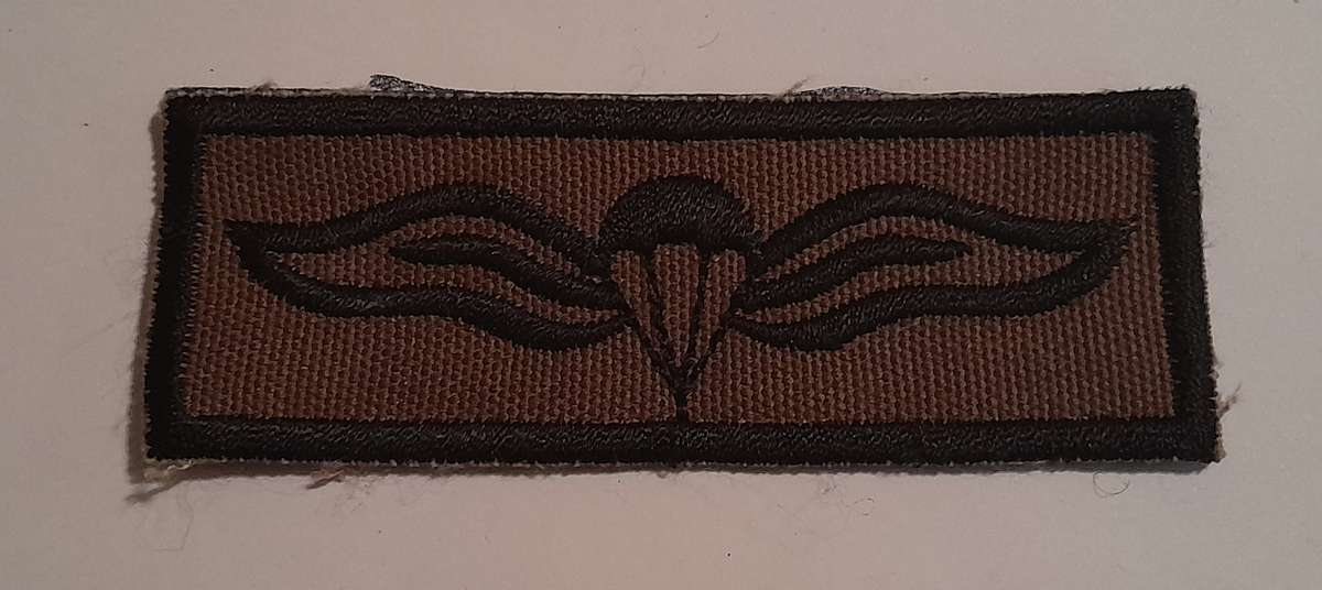 SADF Parachute Wings Qualification Badge - Static Line.