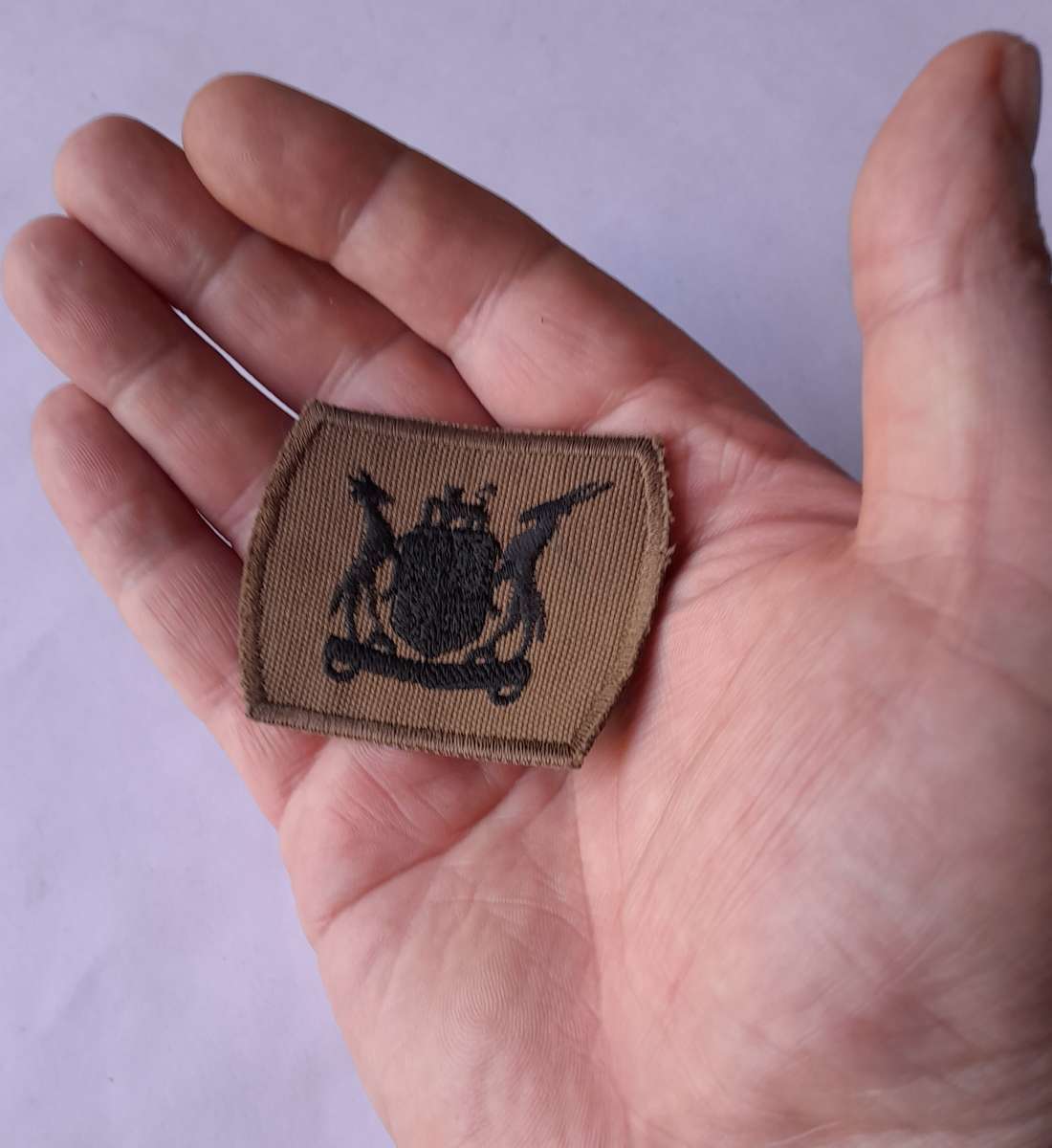 SADF Warrant Officer Rank Badge.