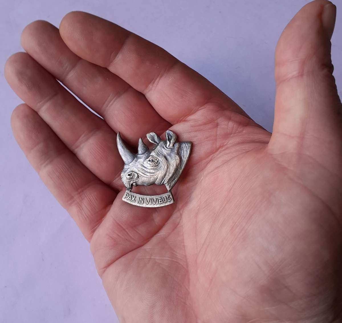 SADF Army SWATF 101 Battalion Beret Badge.  No Lugs.