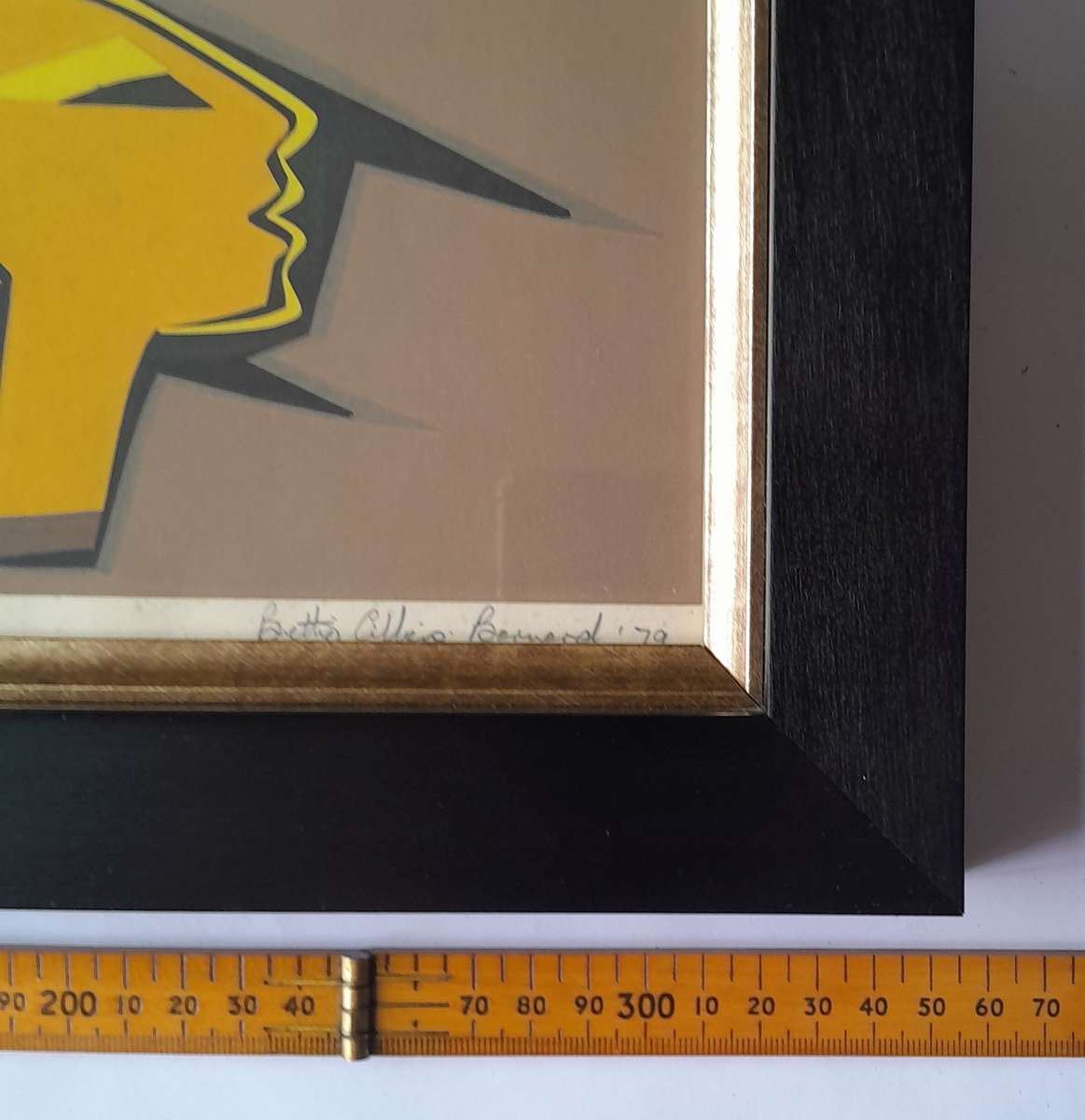 SA Artist Bettie Cilliers-Barnard Limited Edition Print. Signed, Dated & Numbered. 47x35cm.