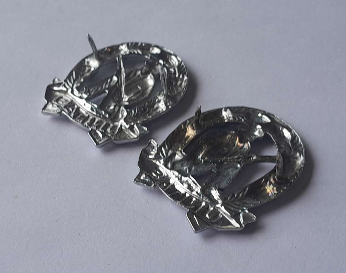 Pair SADF Commando Collar Badges (Facing).  Pins Intact.
