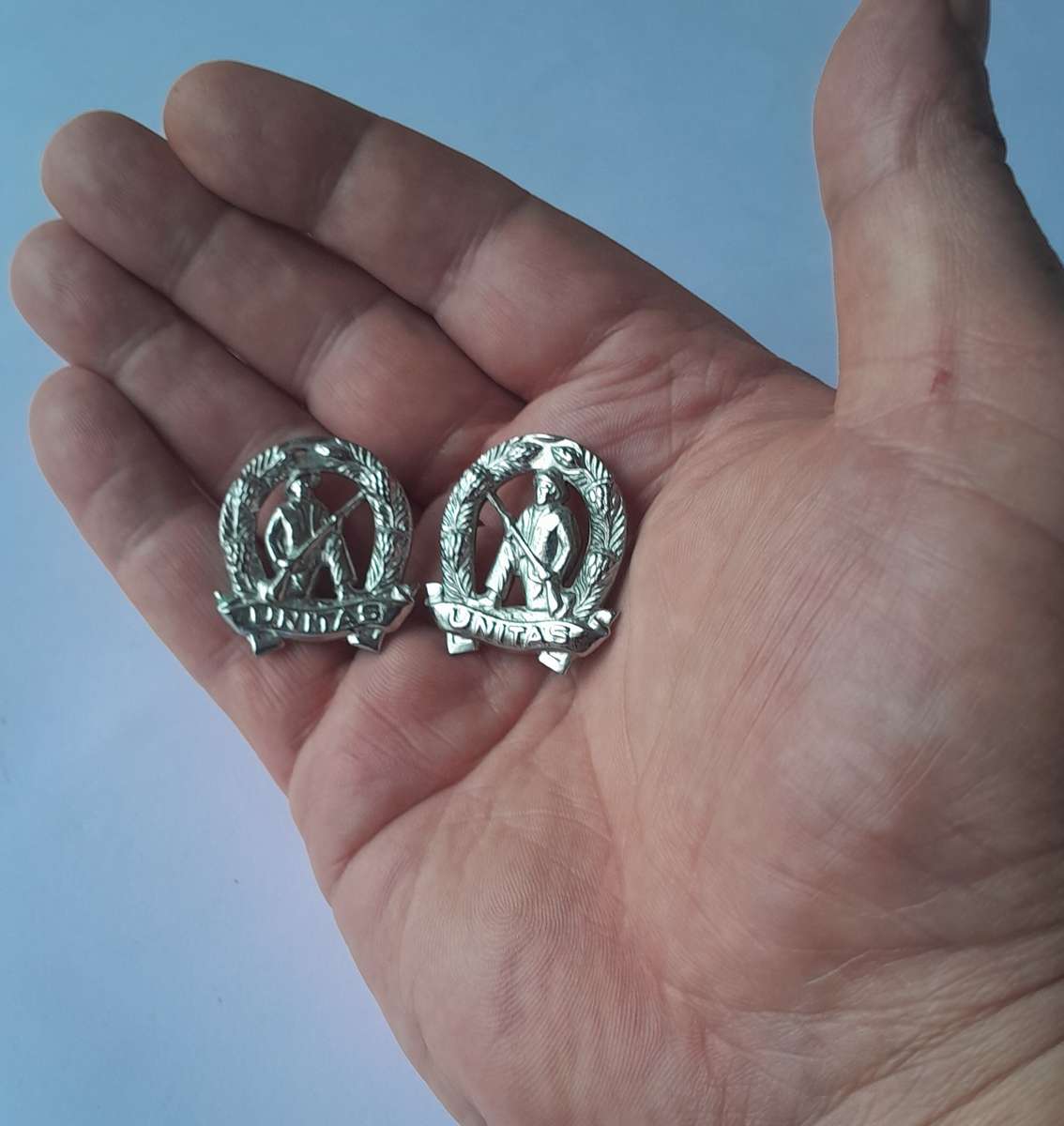 Pair SADF Commando Collar Badges (Facing).  Pins Intact.