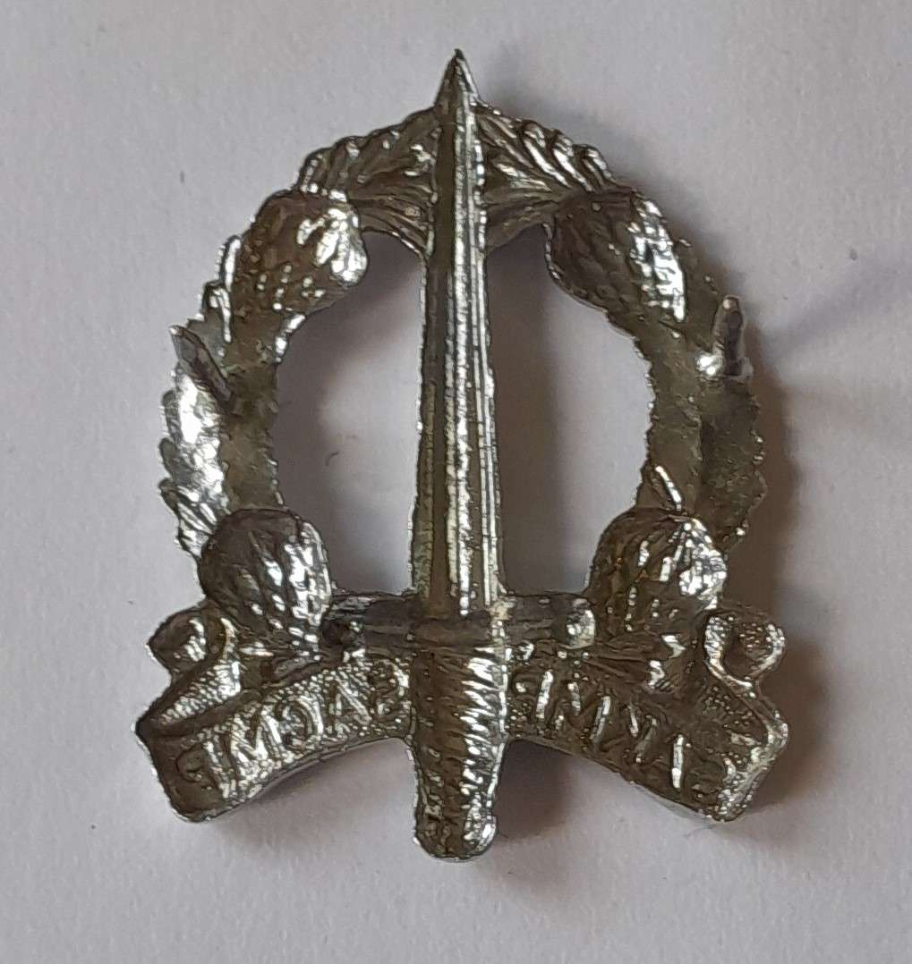 SADF Military Police Badge.  Pins Intact.