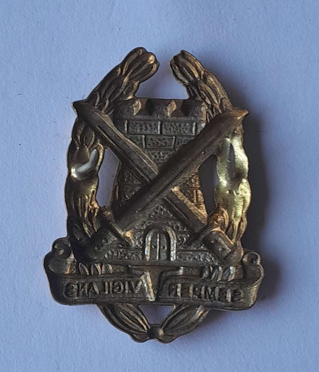 SADF Special Services Corps Badge.  Pins Intact.
