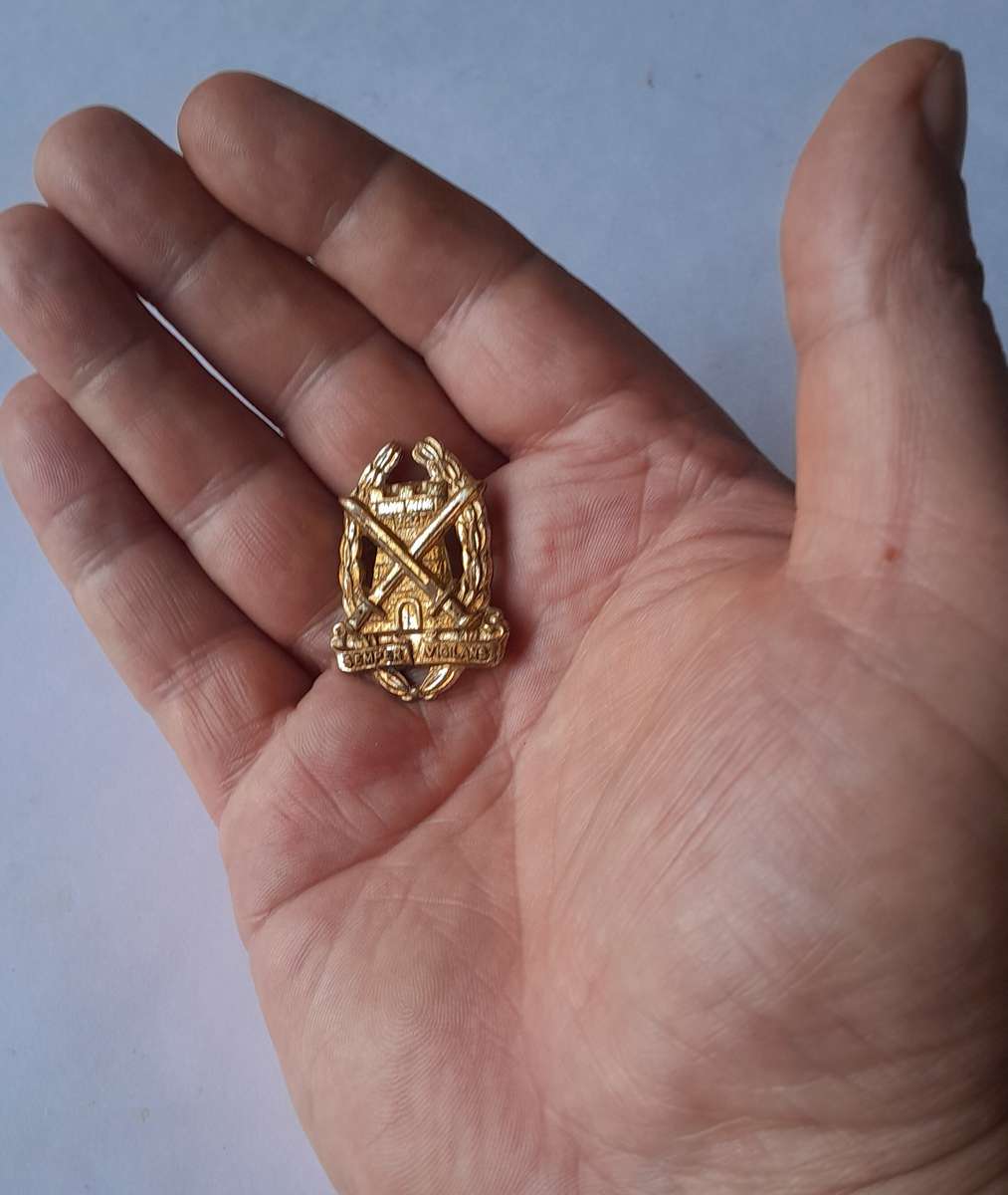 SADF Special Services Corps Badge.  Pins Intact.