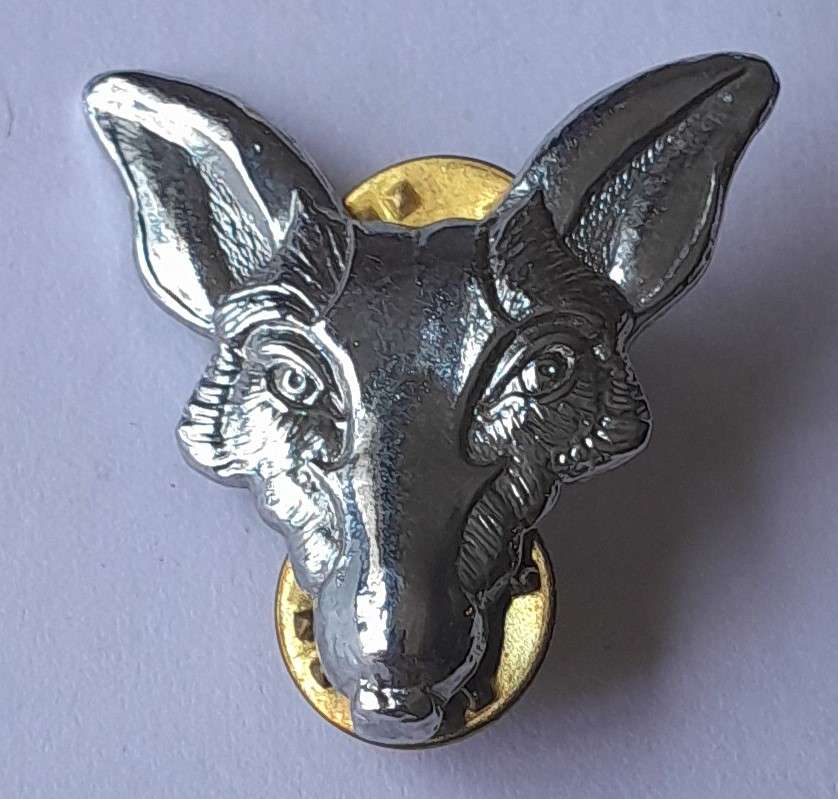 SADF Intelligence Corps Beret Badge.  Pins Intact.