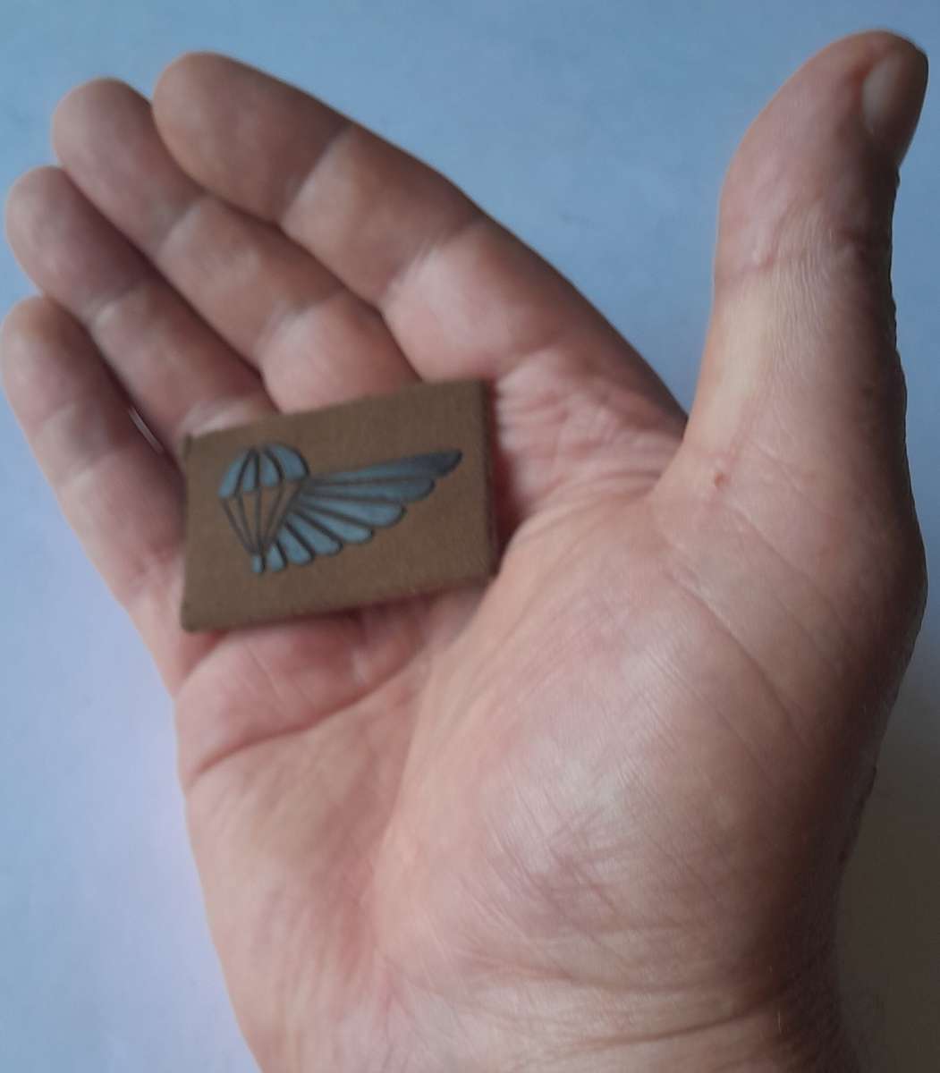 SA Army Air Supply Badge. Pins Intact.