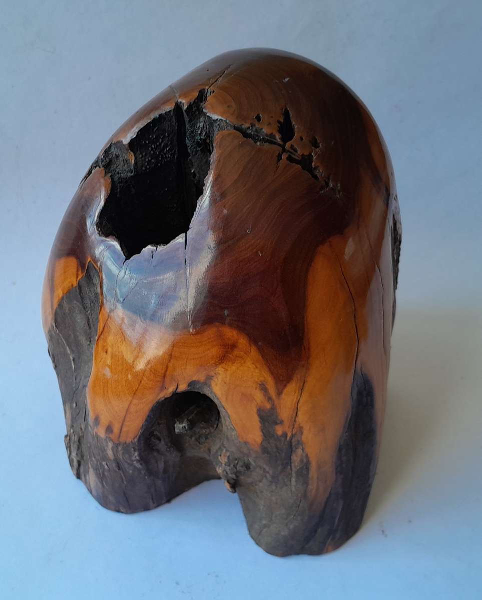 Vintage Pair of Australian Polished Mulga Wood Bookends.