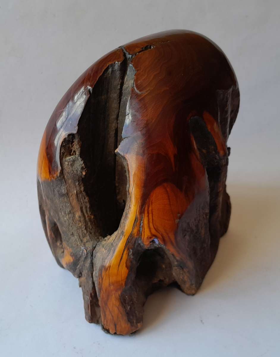 Vintage Pair of Australian Polished Mulga Wood Bookends.