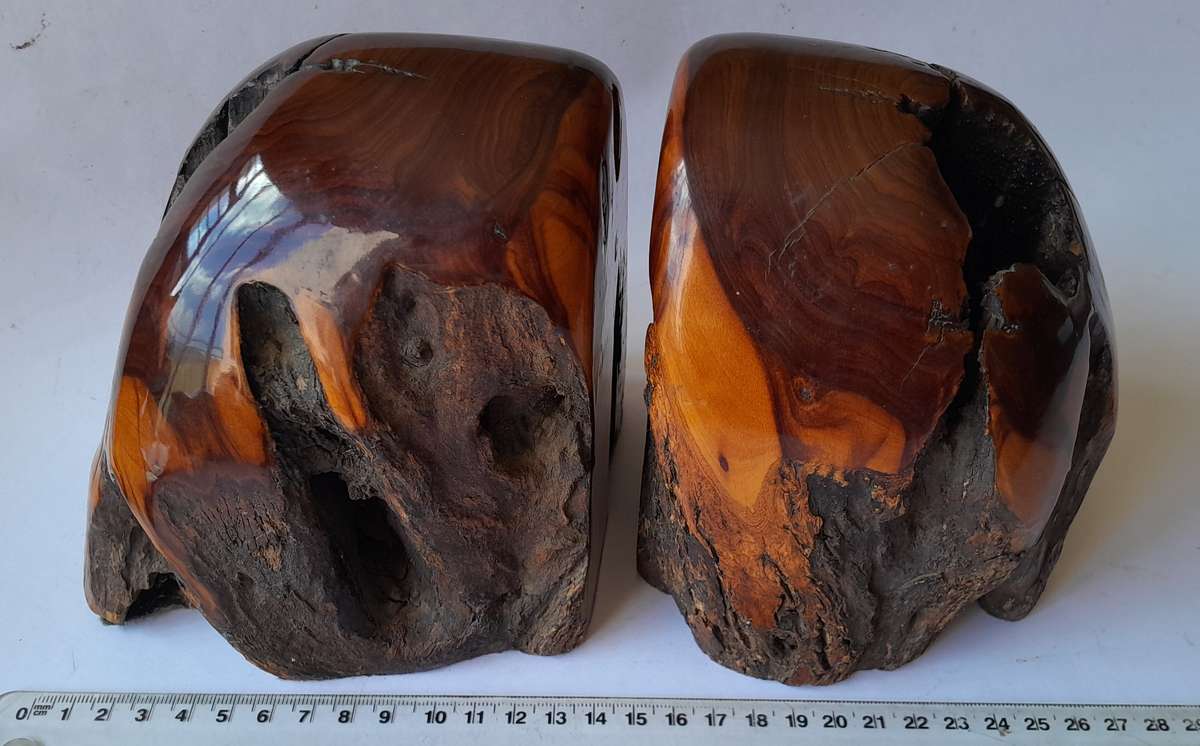 Vintage Pair of Australian Polished Mulga Wood Bookends.