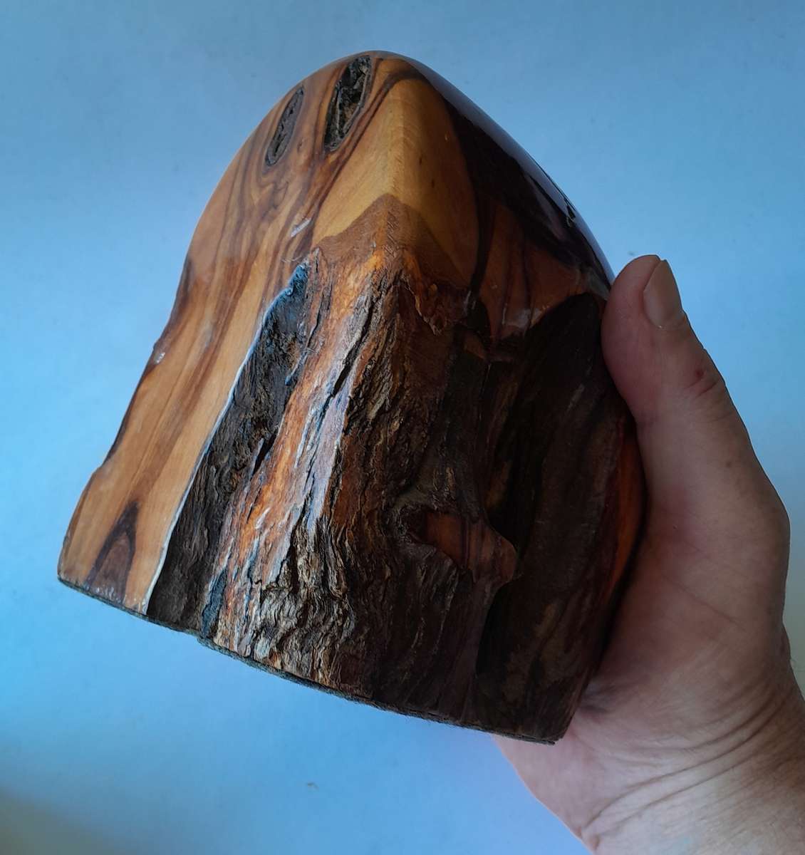 Vintage Pair of Australian Polished Mulga Wood Bookends.