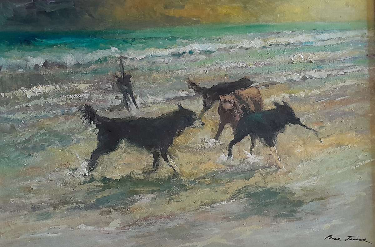 "Reserved" SA Artist Peter Jander Impressionist Oil On Board "Dogs on The Beach".