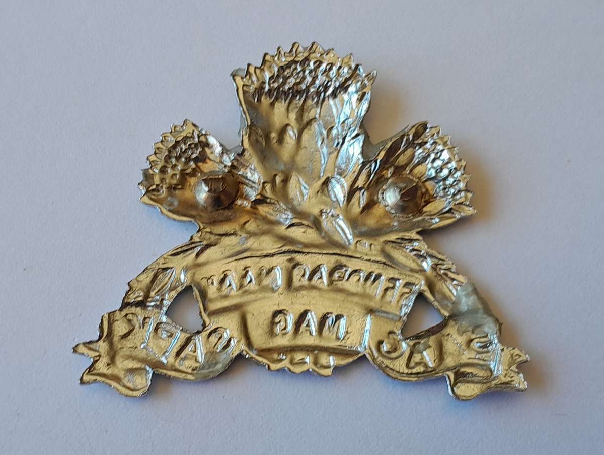 SA Armoured Corps Cap Badge.  No Lugs.