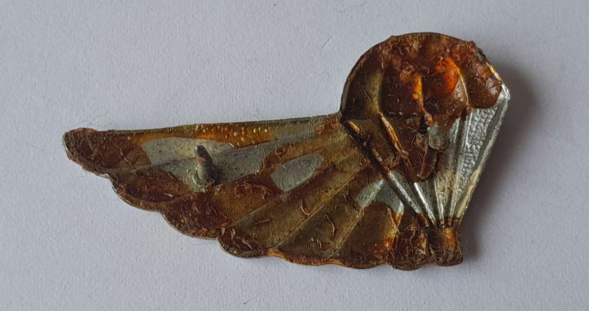 SADF 101 Air Supply Crew Wing.  Pins Intact.