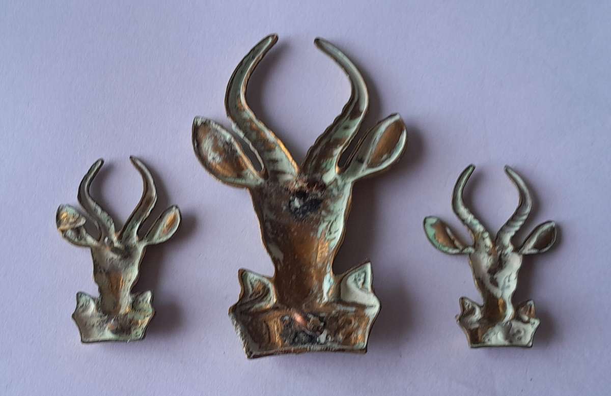 SA Army Infantry "Bok Kop" Badge Set.  Lugs and Pins Intact.